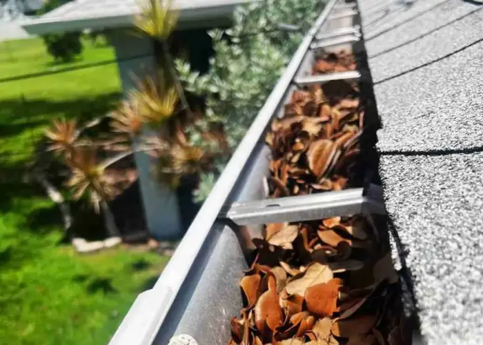 Excelsior gutter cleaning home page